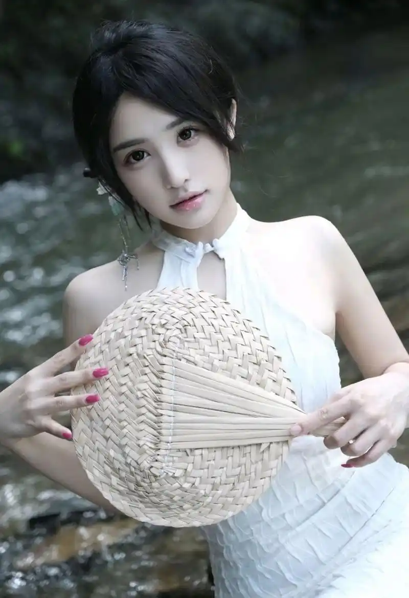 迷雾追踪 电视剧免费观看